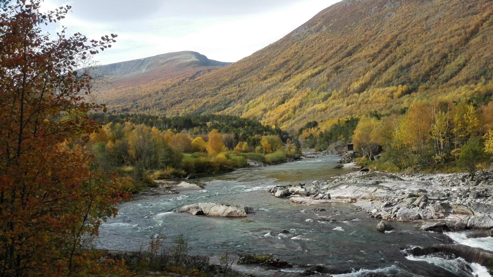 Driva Hytter Oppdal Luaran gambar